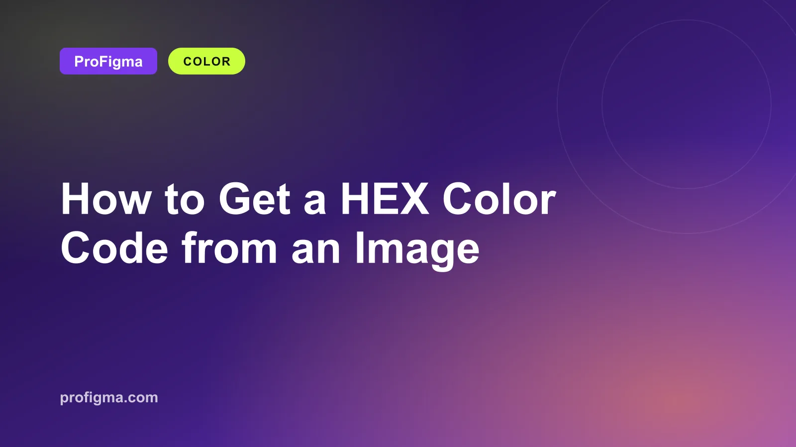 How to Get a HEX Color Code from an Image (and Build a Palette)